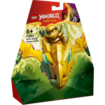 Stavebnice LEGO LEGO Ninjago 71803 Arin a útok draka
