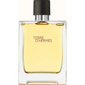 Pánský parfém Hermes Terre d'Hermes M EDP